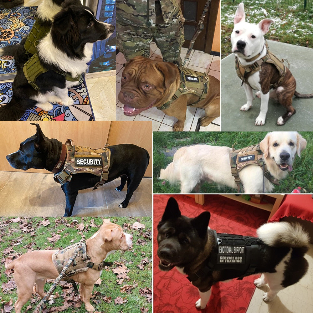 Taktisches Hundegeschirr, Trainingsweste, Hundegeschirr und Leine-Set für kleine, mittelgroße und große Hunde