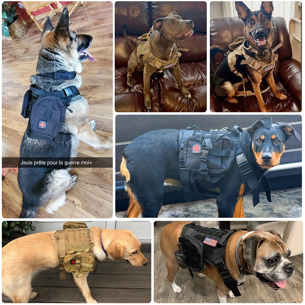 Taktisches Hundegeschirr, Trainingsweste, Hundegeschirr und Leine-Set für kleine, mittelgroße und große Hunde