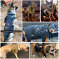 Taktisches Hundegeschirr, Trainingsweste, Hundegeschirr und Leine-Set für kleine, mittelgroße und große Hunde